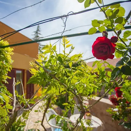 Apartment Dunja Cres Zewnętrze zdjęcie
