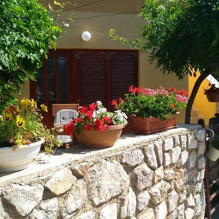 Apartment Dunja Cres Zewnętrze zdjęcie